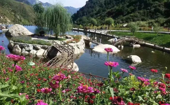 石家庄漫山花溪谷最好玩的地方,石家庄漫山花溪谷现在开放吗