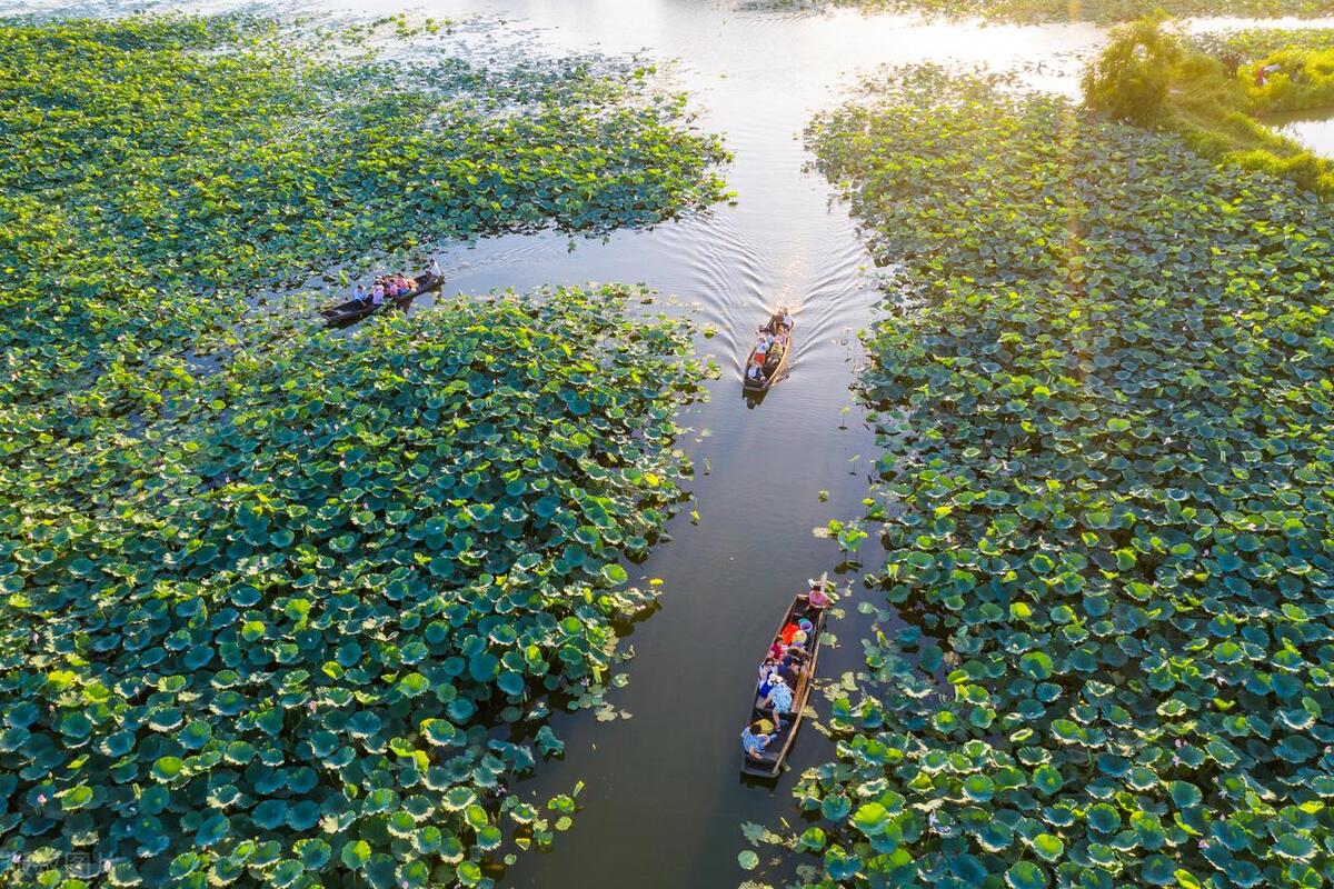 鹤山古劳水乡自由行,鹤山自由行攻略