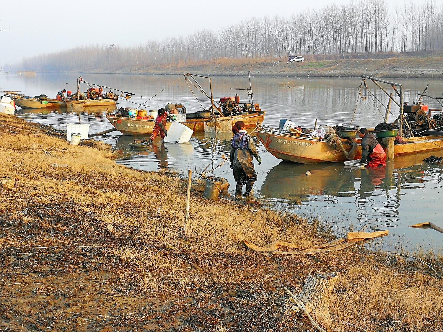 污水池里的“宝”，1晚捞100斤，2个农村“能人”因红虫产生矛盾