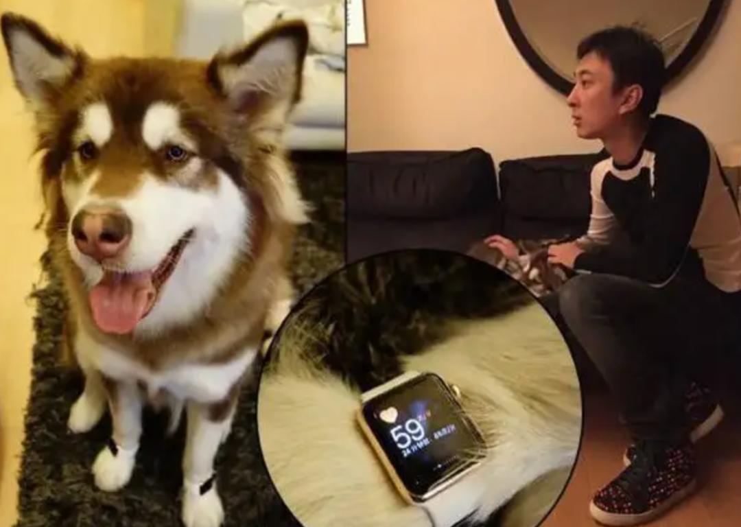 王思聪手撕网红大v,王思聪手撕明星合集