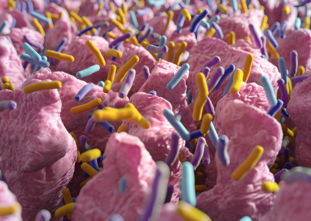 减脂减重的长期有效方法,减重减脂不反弹方法