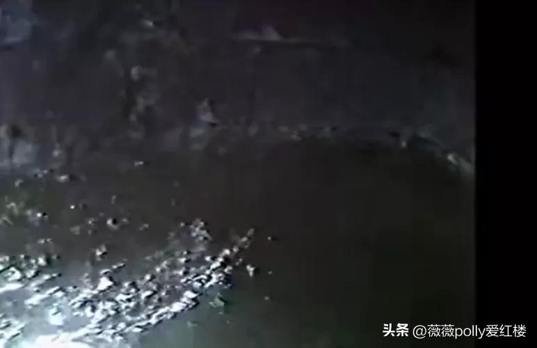 乌鸡国除妖两版对比,86版除妖乌鸡国