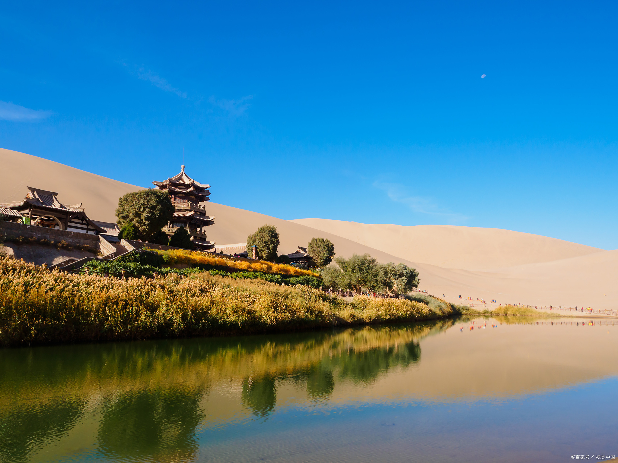 堵骆驼,堵骆驼敦煌骆驼排队上山