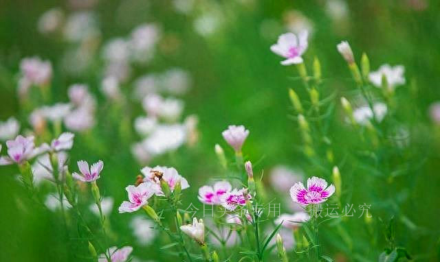 濂冲悓瀛︿笌楂樹腑鍚屽鑱氫細,濂冲ぇ瀛︾敓鐖变笂鏈夊か涔嬪