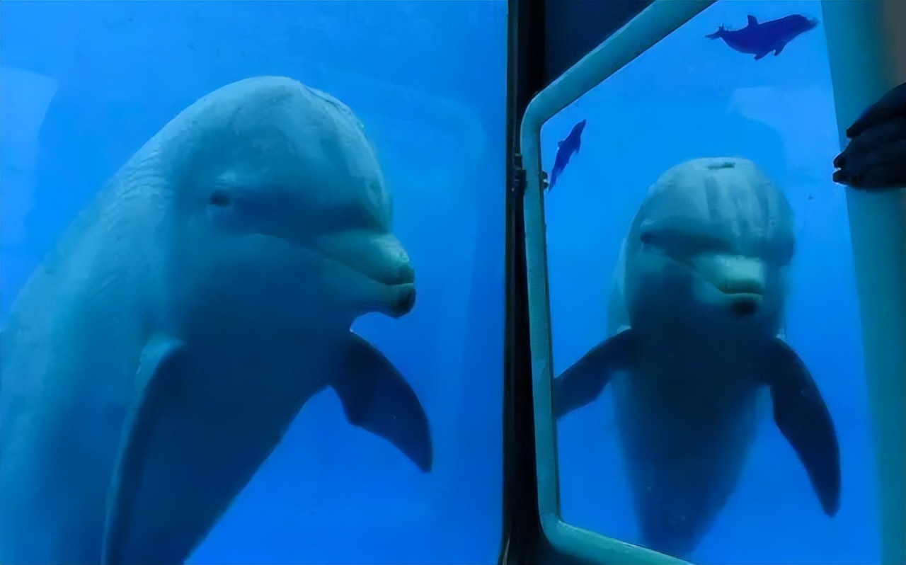 关于世界与未来的预言,世界的十大猜想