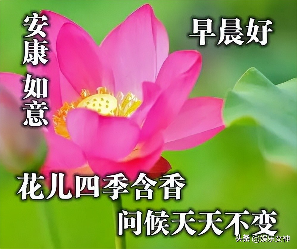 最新每日早上好问候语图片大全,早上好问候语图片怎样加表情的