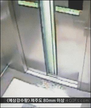 第一个用无人机拍到的鲸鱼,鲸鱼萤火虫