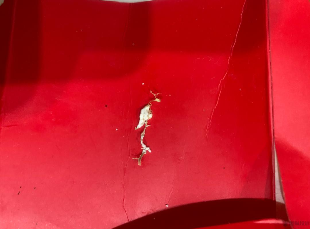 谁在说谎儿童版,爱他奶粉有虫