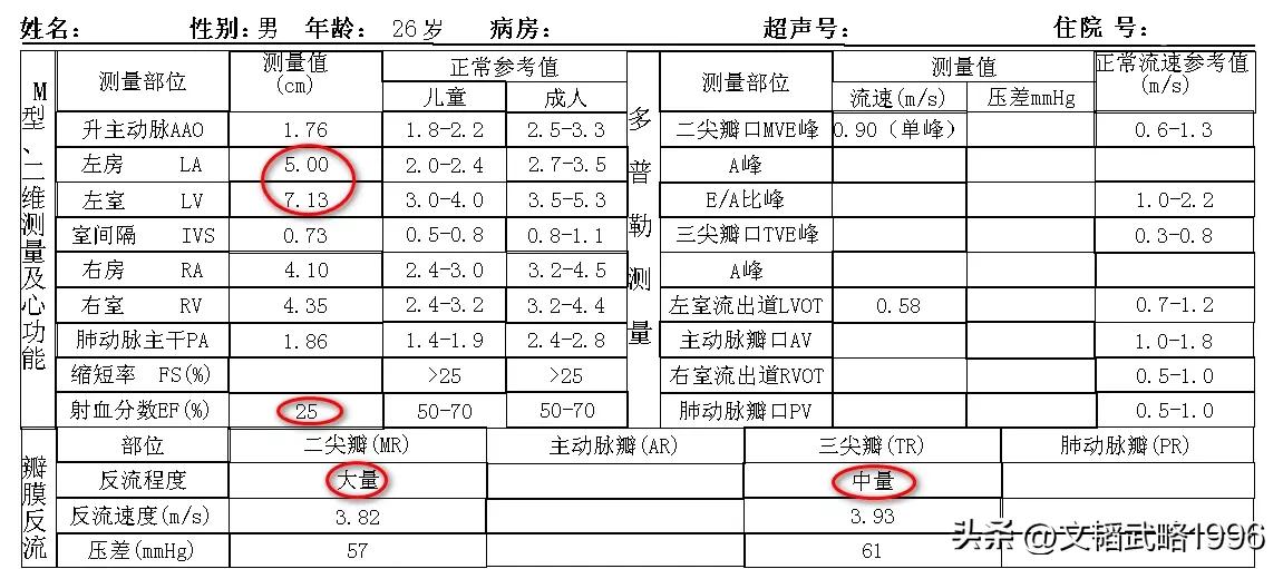 心肌致密化不全对心脏有哪些影响,心肌致密化不全多大能诊断