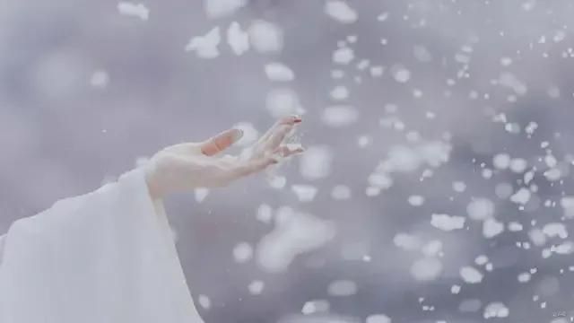 踏青看梨花的诗句,春游赏桃花七律诗