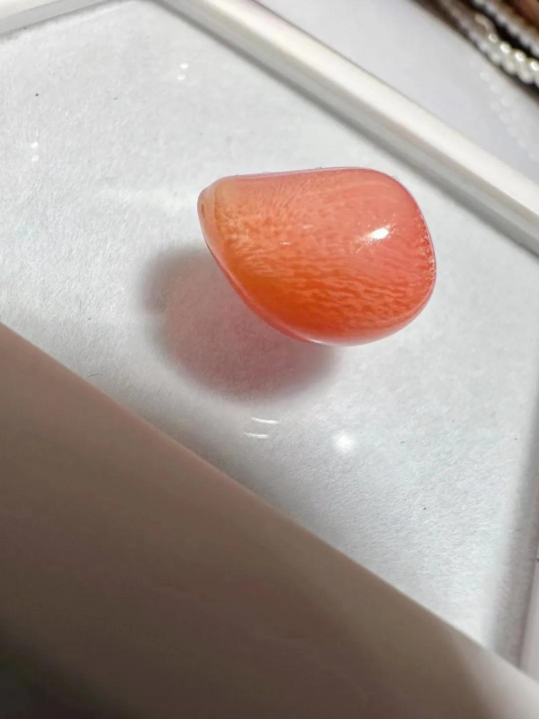 海螺珠价格多少钱一颗,海螺珠珠宝