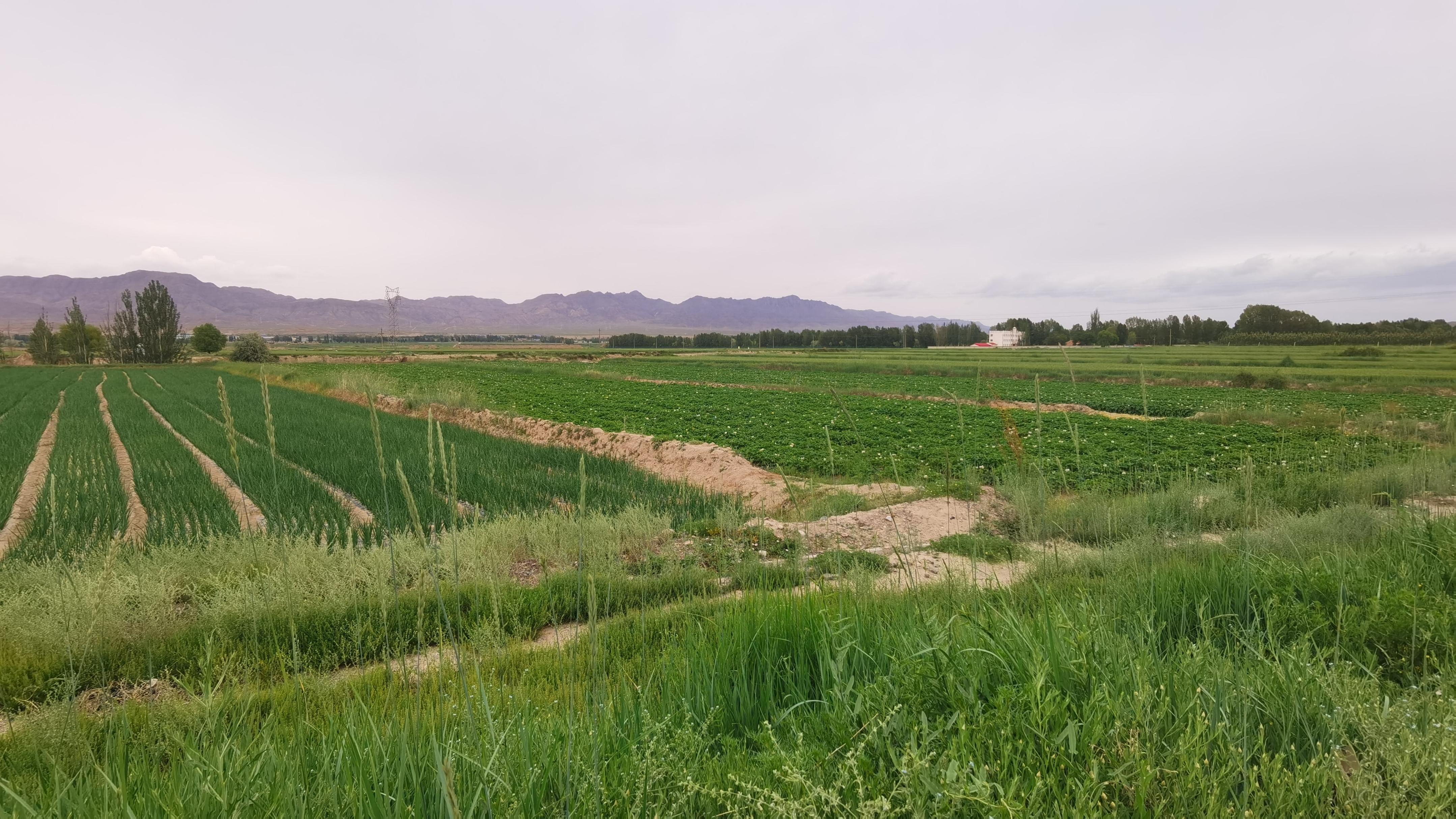 难忘家乡那一抹醉人的夕阳红