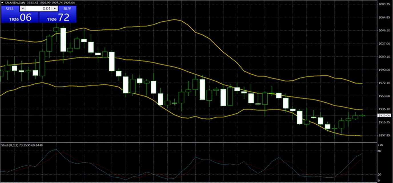 第一金2021,第一金2022比赛回放