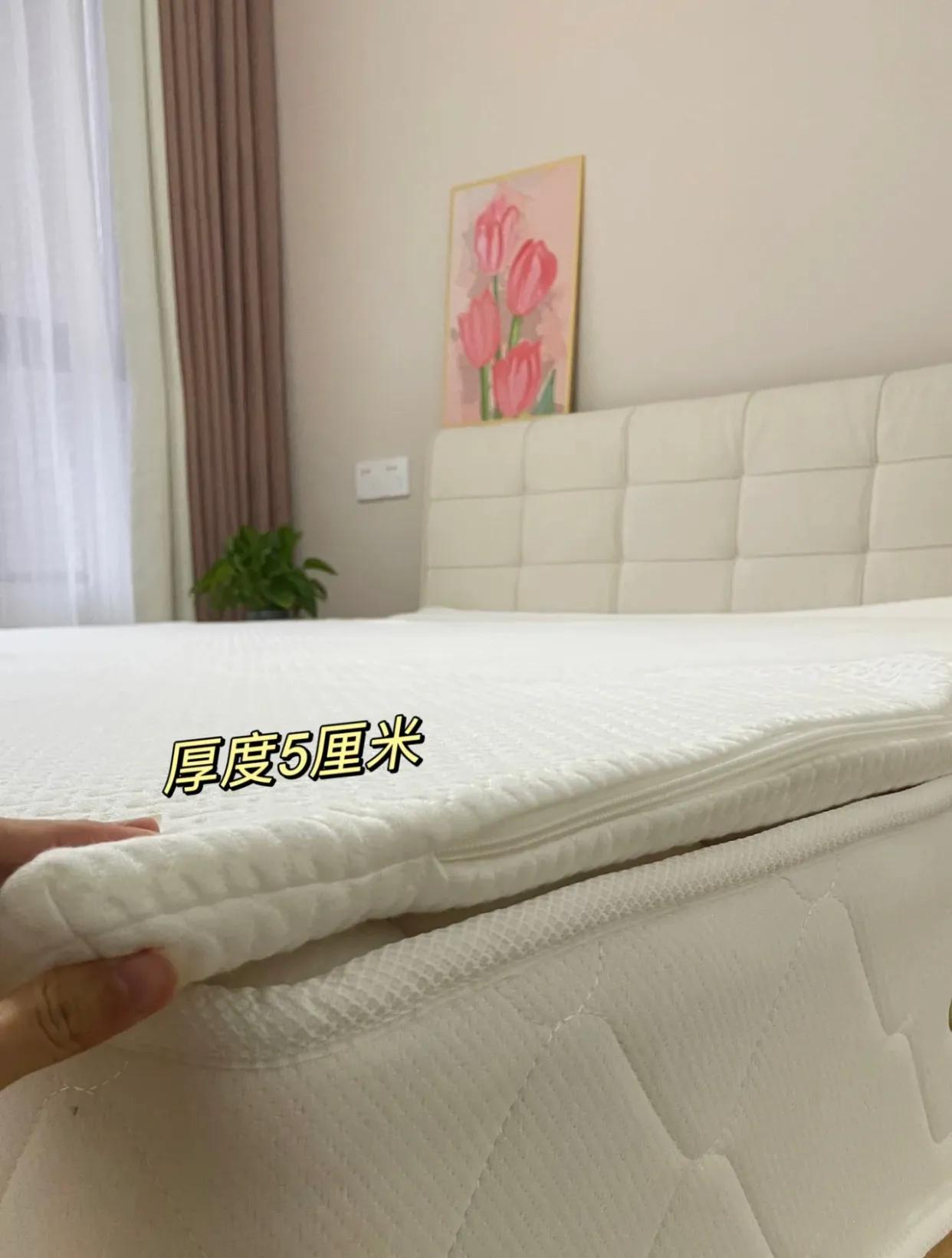 普通床垫和乳胶床垫哪个好,胶床垫和棕榈床垫到底哪个好