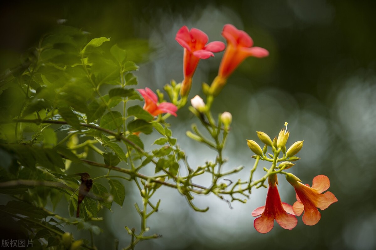 告别2022，未来可期，时光静好，浅笑安然，向着温暖那方走去