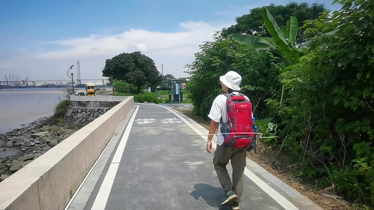 广州轮渡旅游攻略大全,广州旅游攻略必去的10个岛