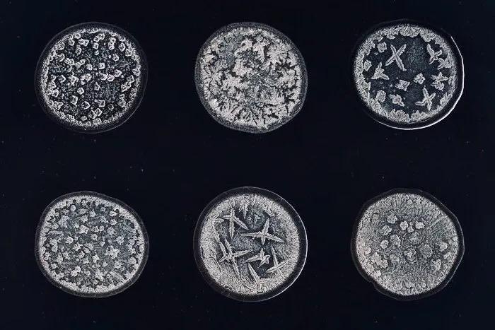 显微镜观察人体的四种组织图片,人体显微镜下的样子