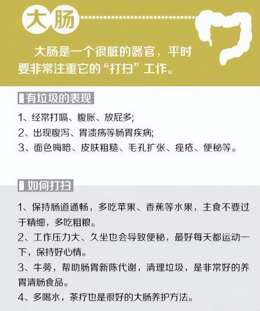 最全的中医五脏六腑的功能介绍,中医专家讲解五脏六腑视频