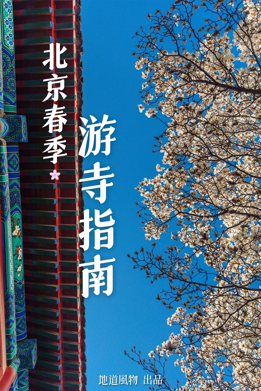 雍和宫北京最旺的古寺,不要再去人挤人的景点