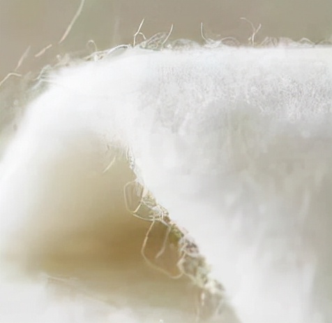 常见基本服装面料知识大全,服装常用面料知识大全