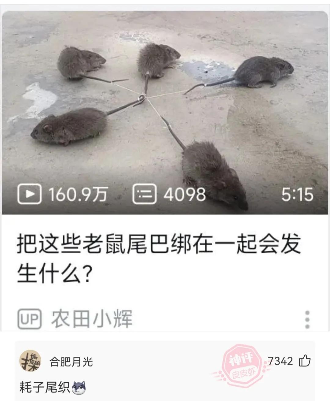 神回复娃哈哈,神回复知乎