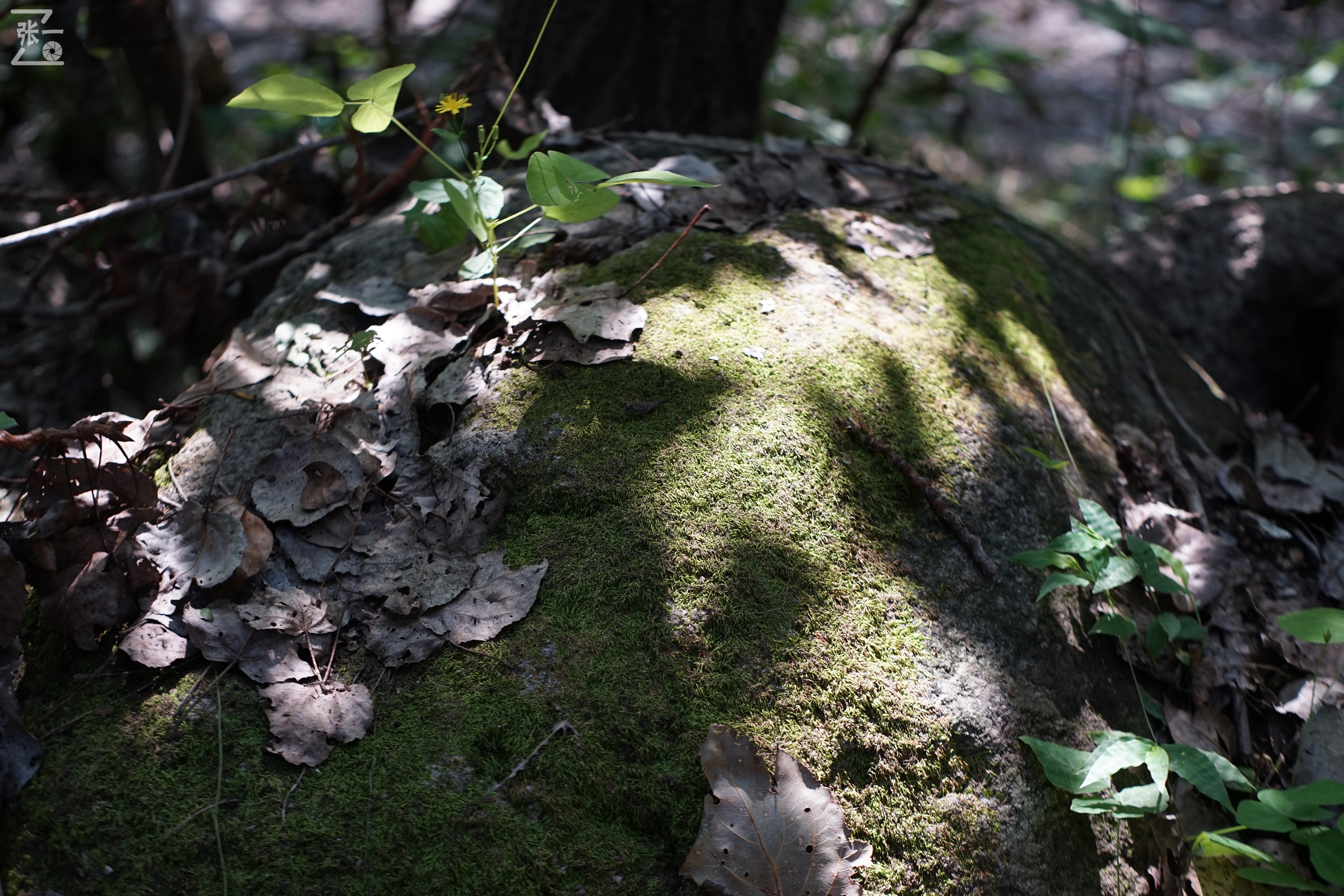 老镜头实拍,老镜头拍北京