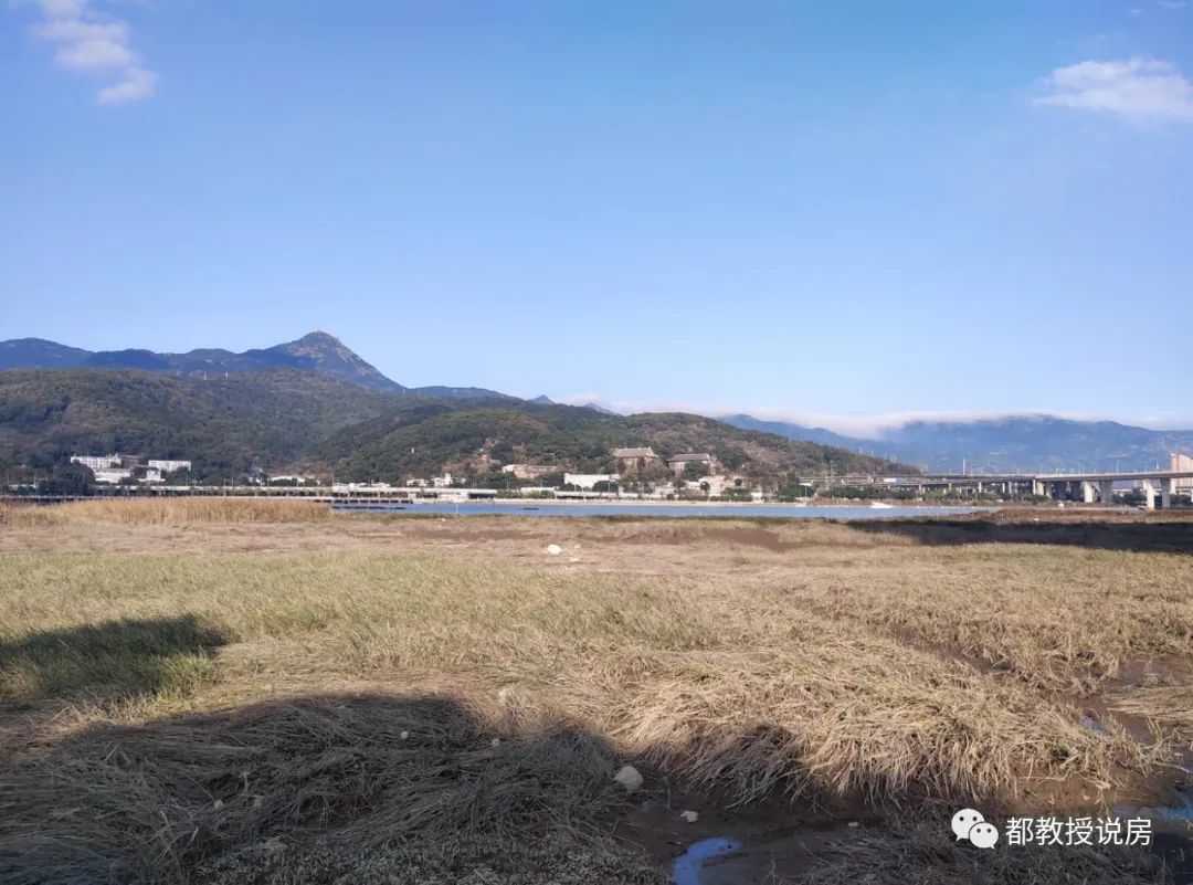 福州房产中介佣金,房产中介与楼盘销售撞单怎么办