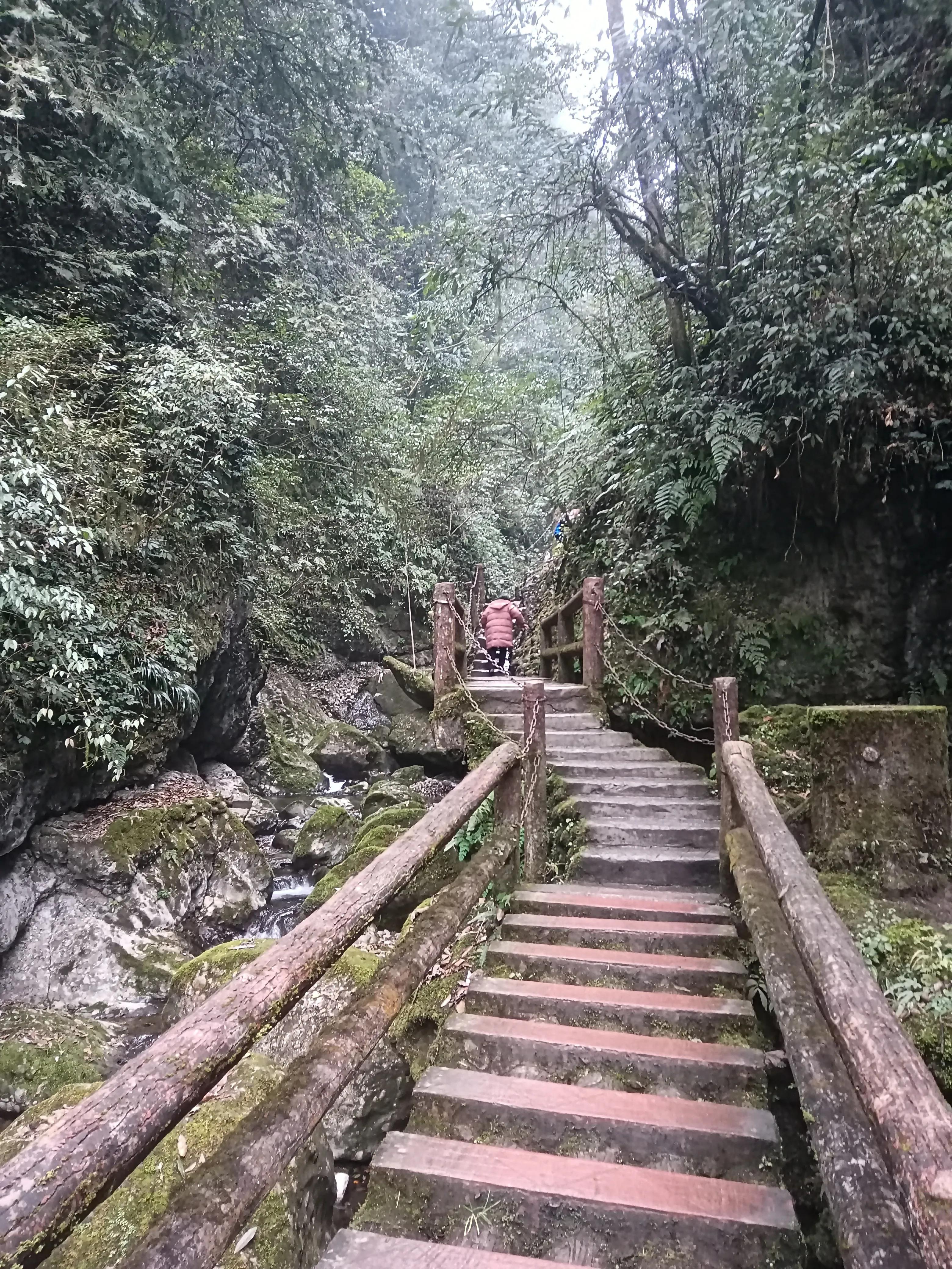 泰安古镇到青城后山,青城后山景区导览图