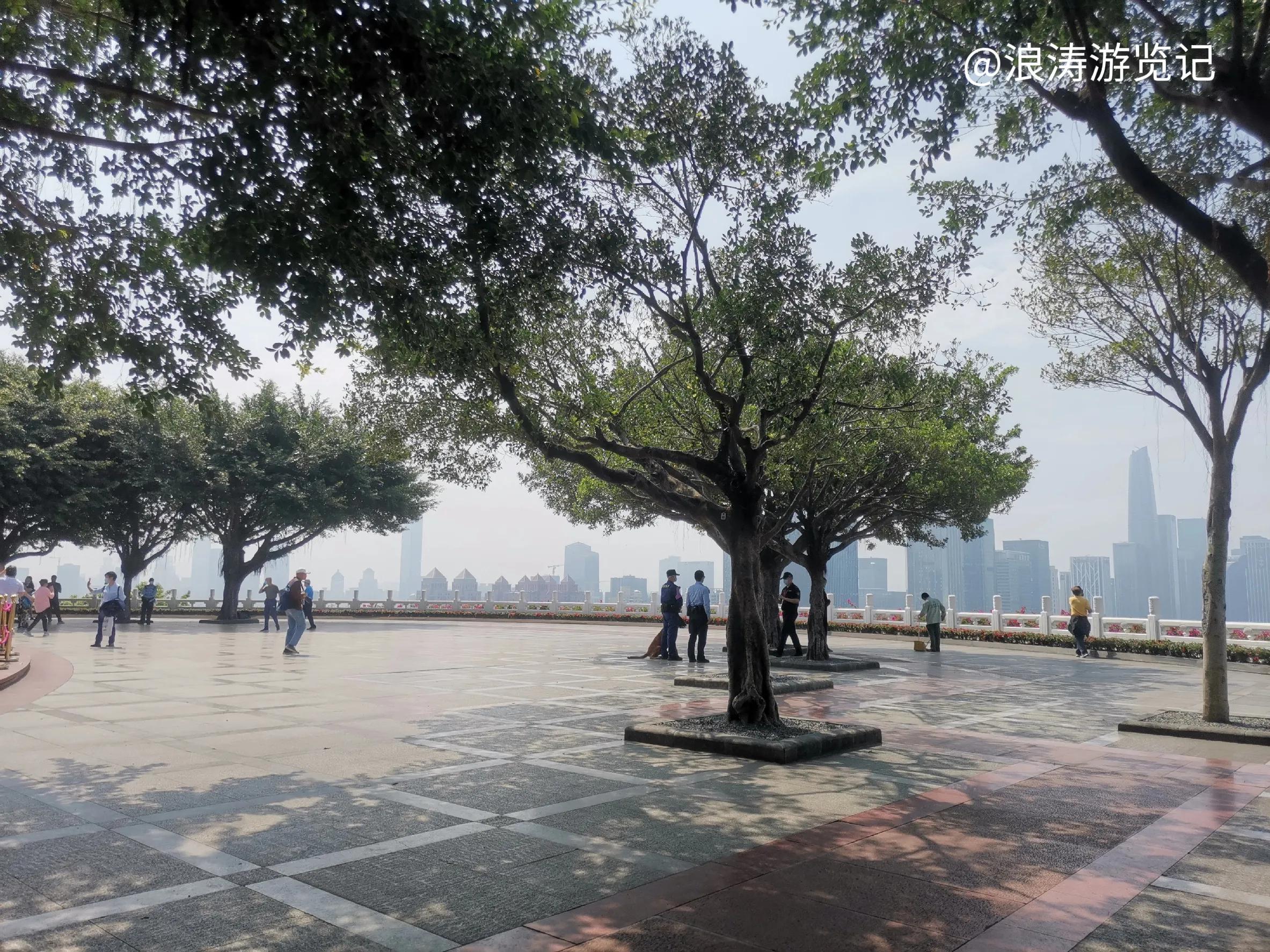 深圳市莲花山公园地图,深圳莲花山旅游风景区图片