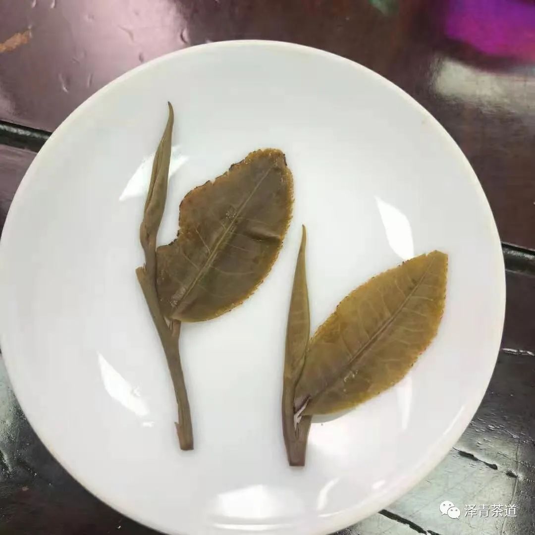 泡新茶普洱茶的正确方法,普洱春茶冲泡