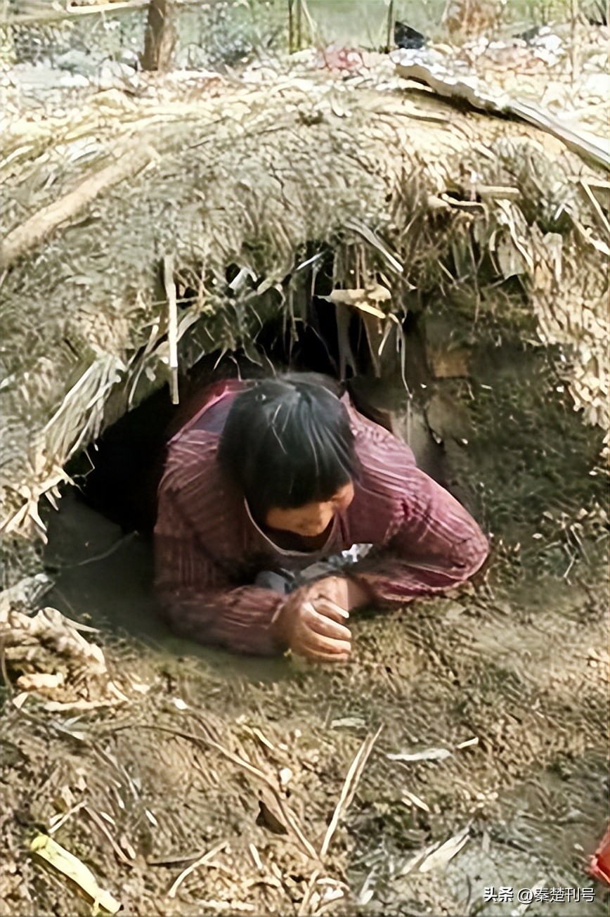 再说“郧阳三大宝”（3）：红薯，浑身都是宝