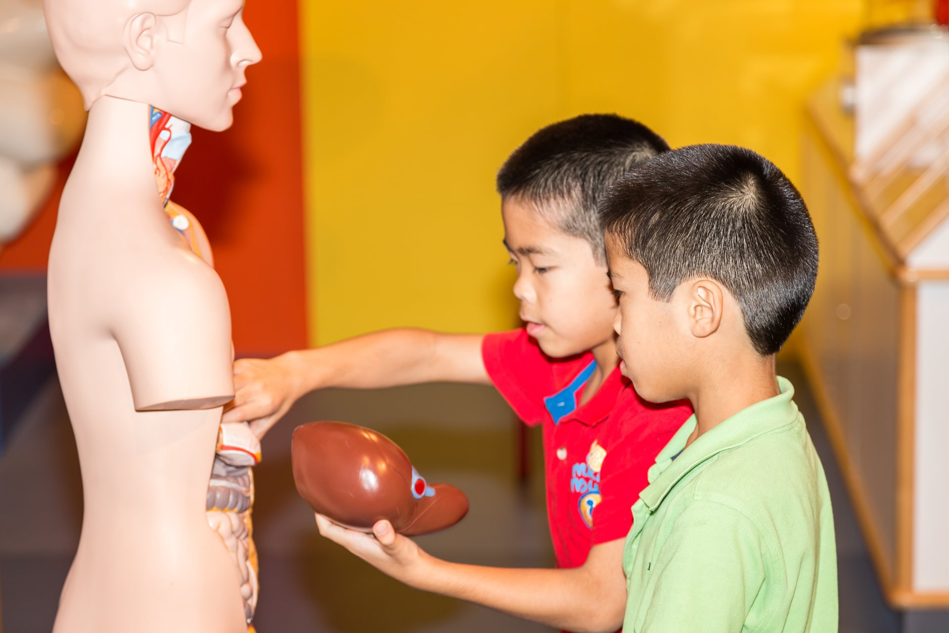 沙迦旅游博物馆,沙迦艺术博物馆游玩