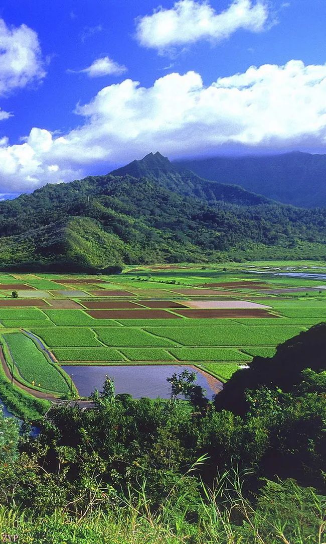 太美了100张人间美照,太美了最美中国红
