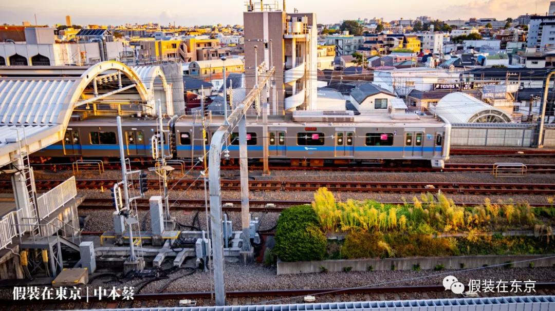 365张照片回顾,365张相片