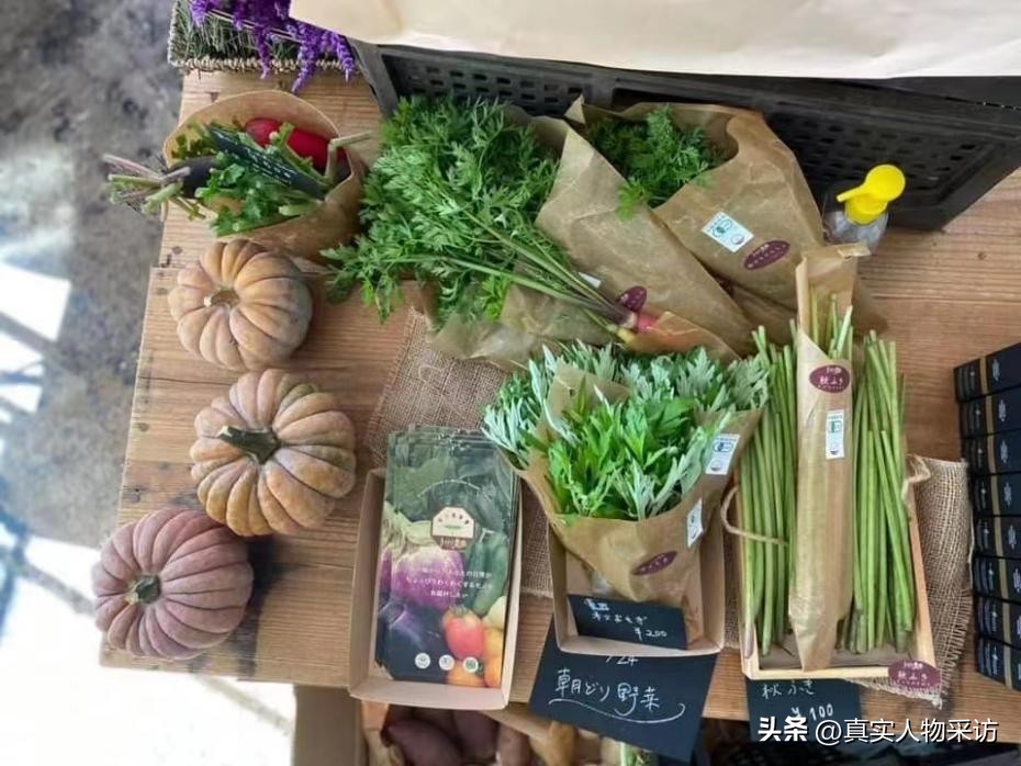 日本女人在家庭的真实地位,日本女性地位很低真实情况