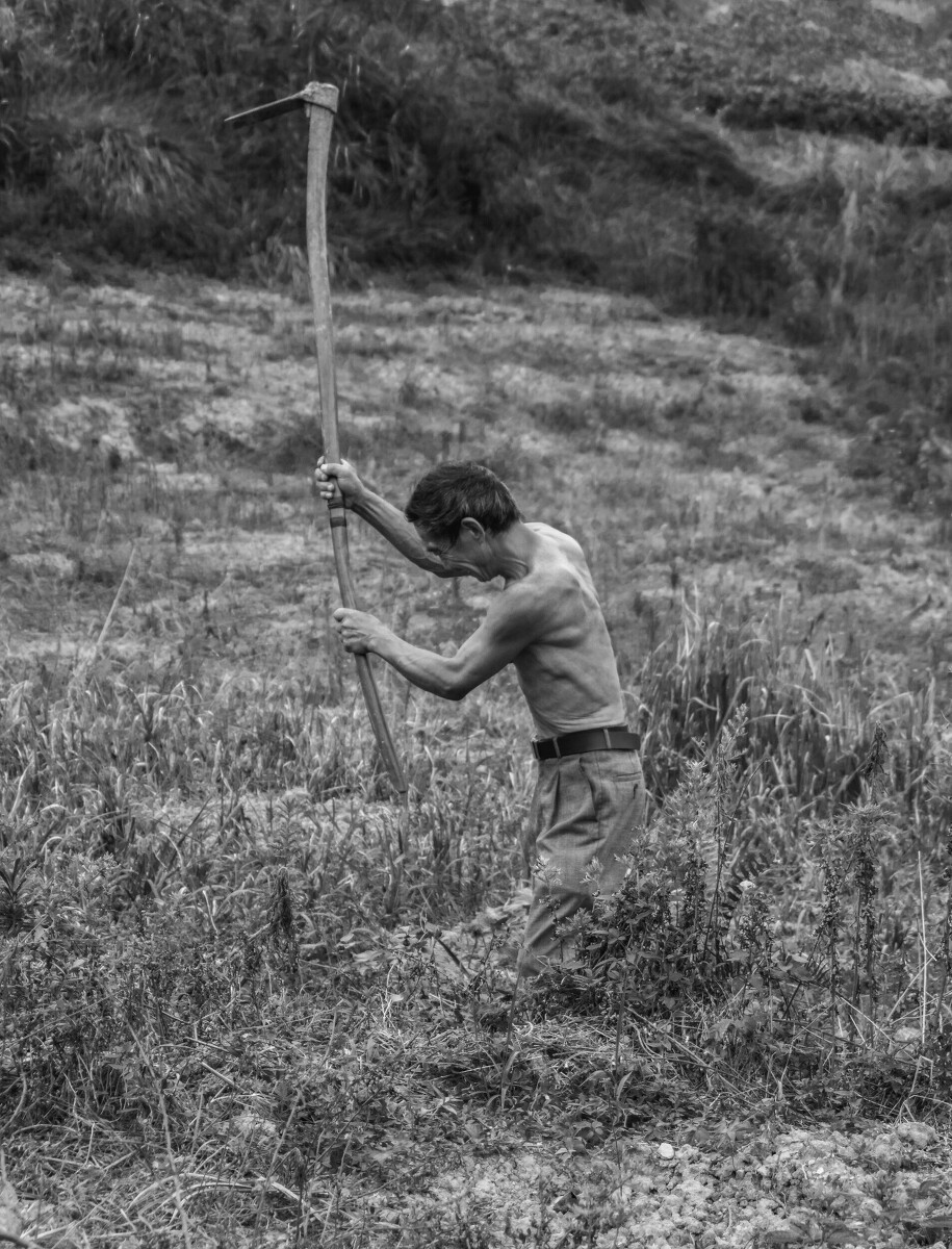 近日频频翻车的官媒，已经脱离群众太久，他们被人反感是有原因的