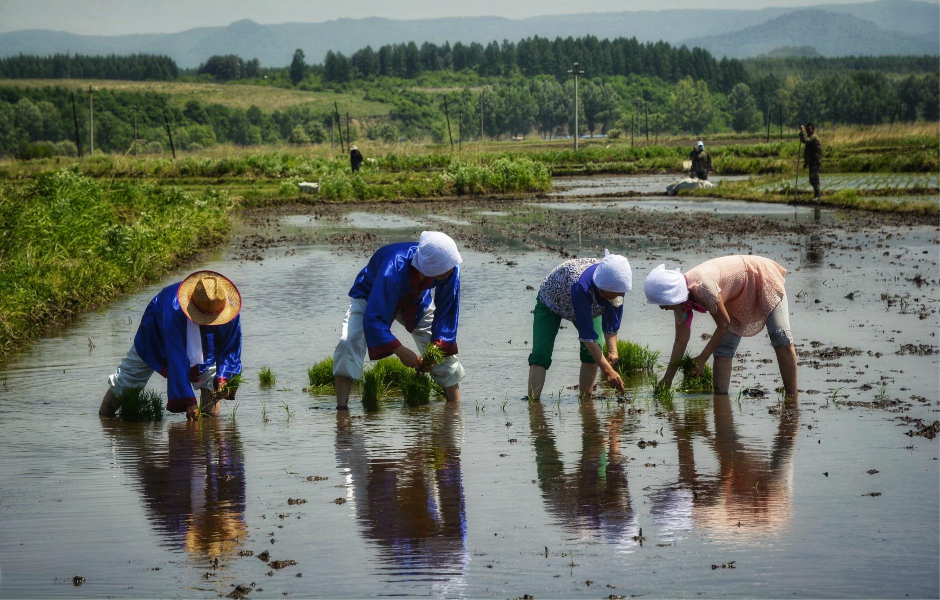 朝鲜缺能源吗,朝鲜有没有能源