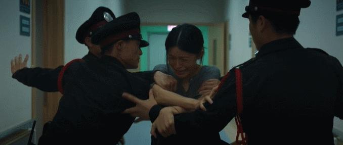 蚍蜉撼大树后一句,蜉蝣撼大树