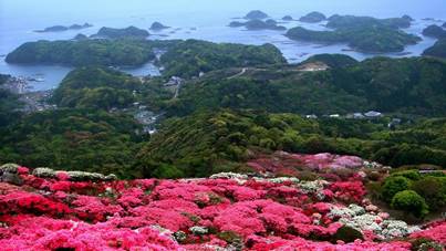 日本最盛产烧酒的岛屿，最知名的却是中国名称，深深感到自豪！