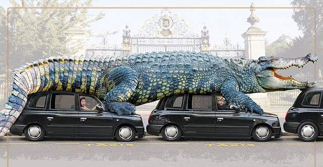 比老虎狮子豹子还厉害的五大动物,老虎狮子生存环境对比