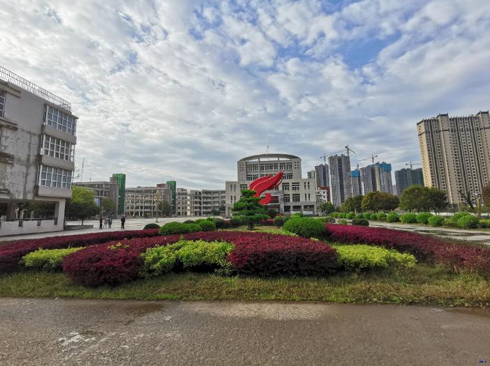 新洲区一中好吗,新洲一中情况如何