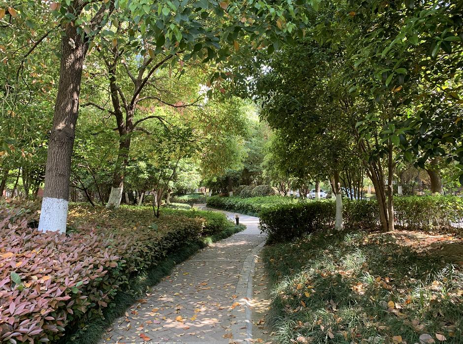 意外!时隔9年老盘跳涨2.1万/㎡,居然当天售罄了