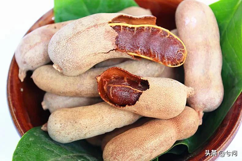 海南的水果特产有哪些？你知道几种？