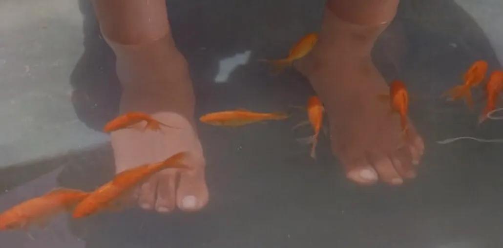 小鞋子为什么打动人,小鞋子第一名