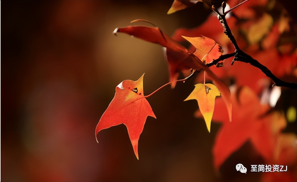 期货孟德稳谈日内入场点,期货操作技巧在线学习