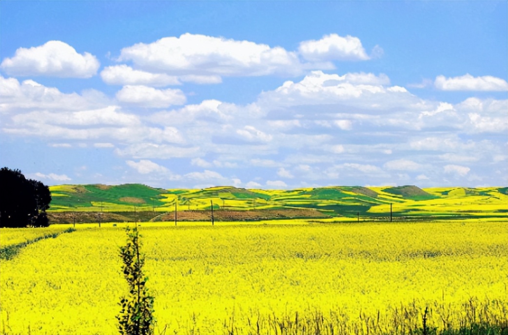 庆阳转型,庆阳未来会转型成功吗