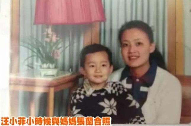 张兰为何落魄到开直播,张兰怎么从一无所有又翻身的