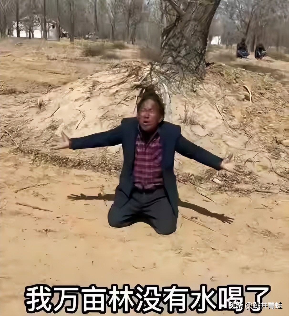 治沙英雄孙国友下跪视频,治沙人孙国友下跪