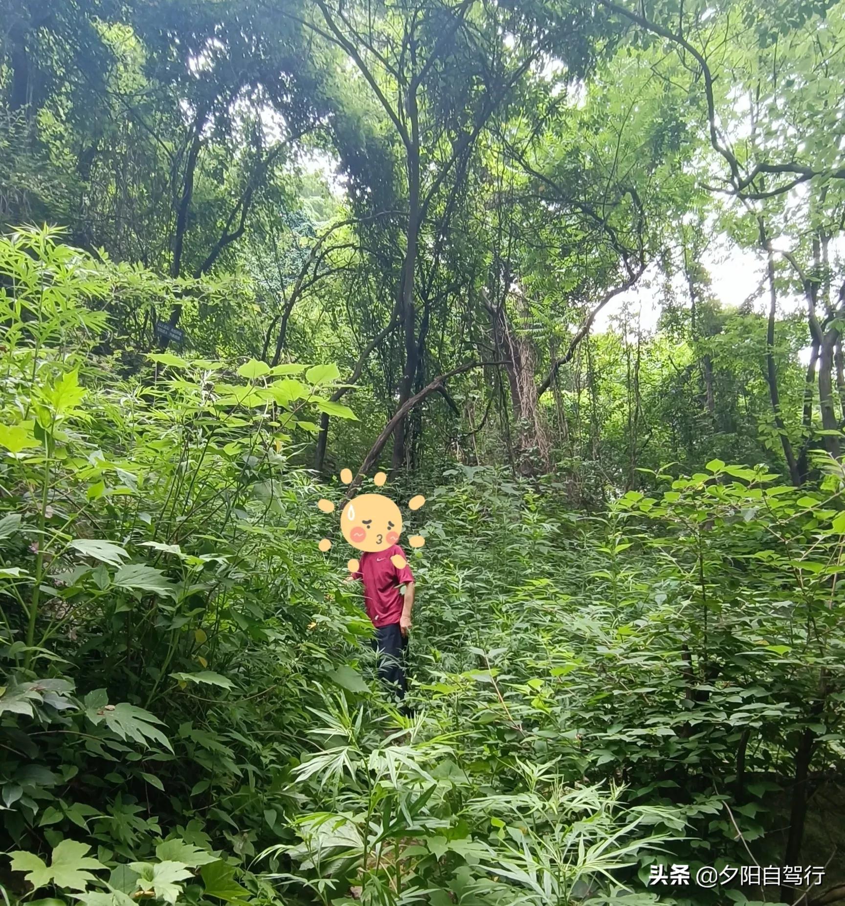 端午节合浦一日游必去景点,端午三日游贵州旅游攻略
