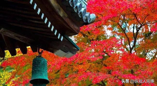 假名媛也有培训班？上海名媛拼单群，拼一条*袜丝**32个人得脚气